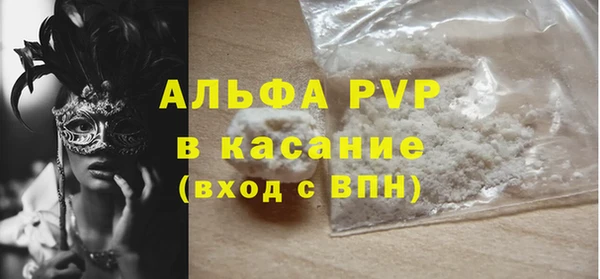 стаф Надым