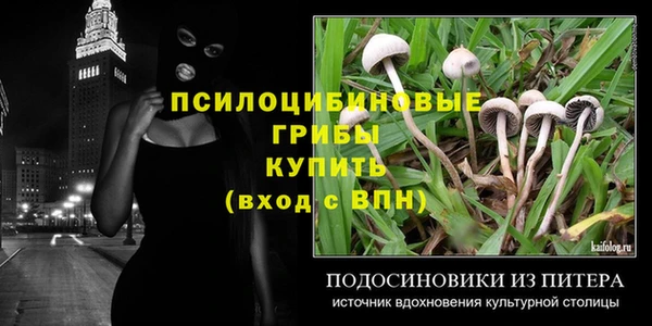стаф Надым